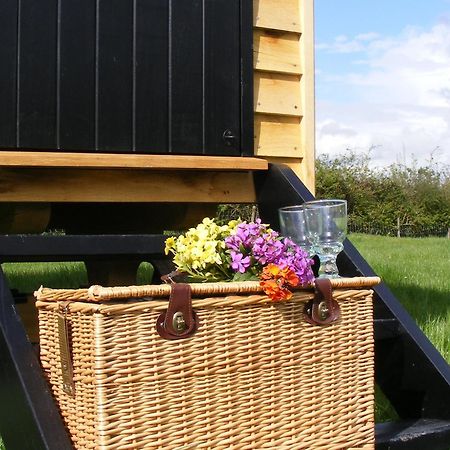 Marshwood Farm B&B And Shepherds Hut Dinton  Exteriör bild
