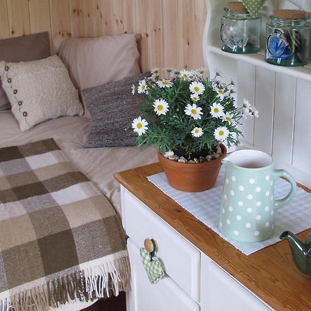 Marshwood Farm B&B And Shepherds Hut Dinton  Exteriör bild