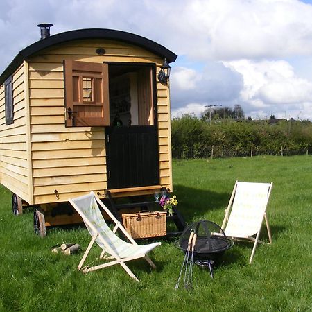 Marshwood Farm B&B And Shepherds Hut Dinton  Exteriör bild
