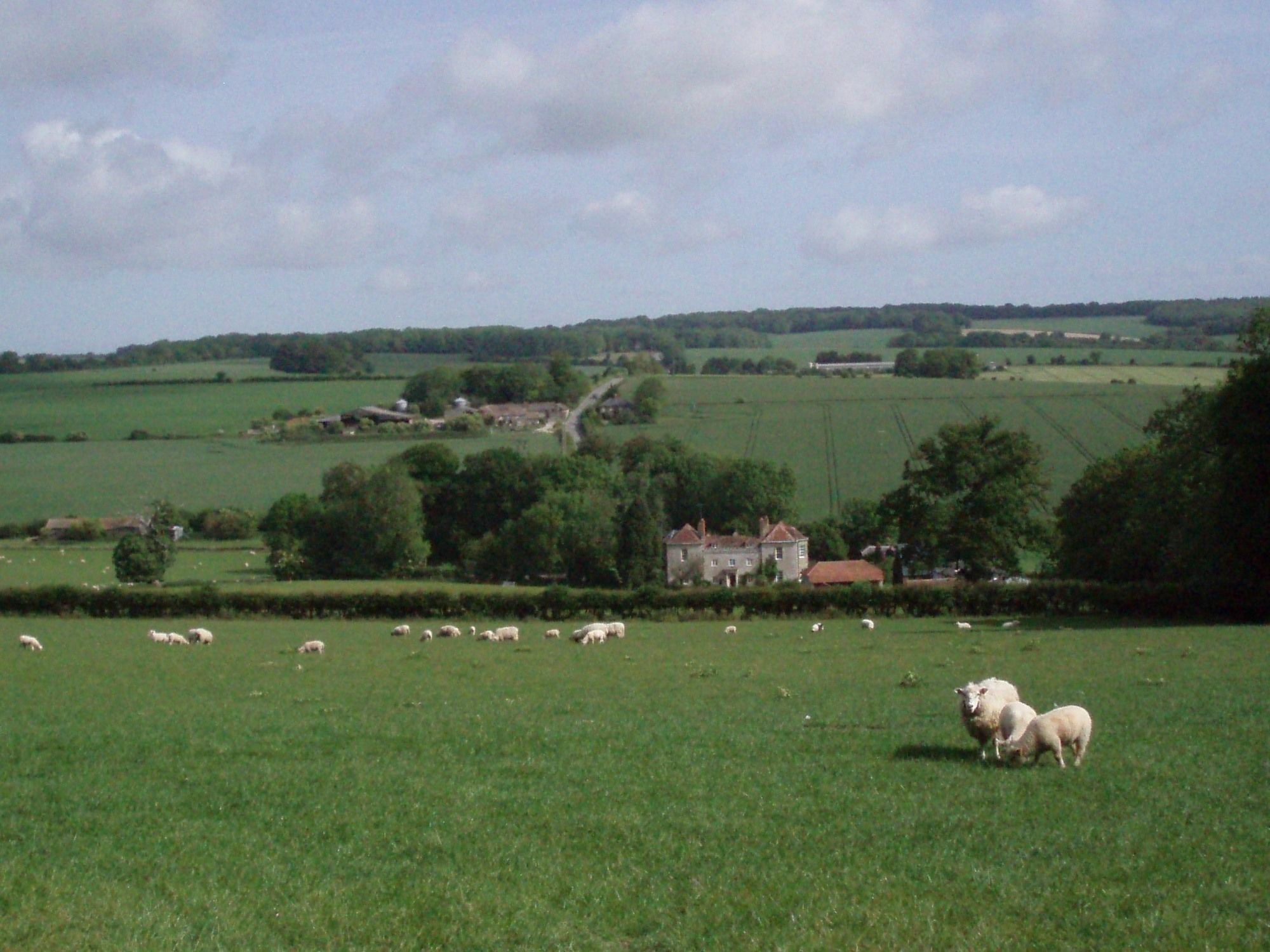 Marshwood Farm B&B And Shepherds Hut Dinton  Exteriör bild